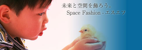 ƋԂ낤BSpaceFashion-GXGt